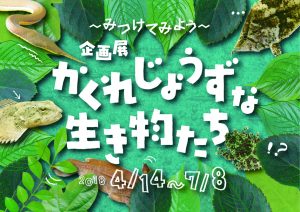 【アクア・トトぎふ】みつからない!? 生き物たちのかくれんぼ @ 世界淡水魚園水族館 アクア・トト ぎふ | 各務原市 | 岐阜県 | 日本