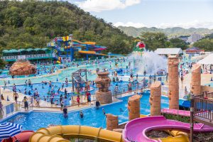 【モンキーパーク】水の楽園「モンプル」7/7(土) OPEN! @ 日本モンキーパーク | 犬山市 | 愛知県 | 日本
